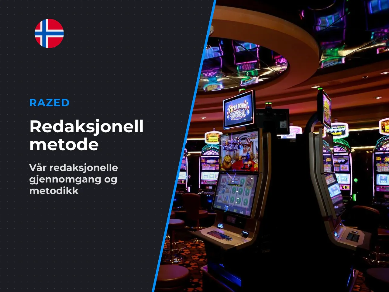 Om redaksjonen og metode. Denne gjennomgangen