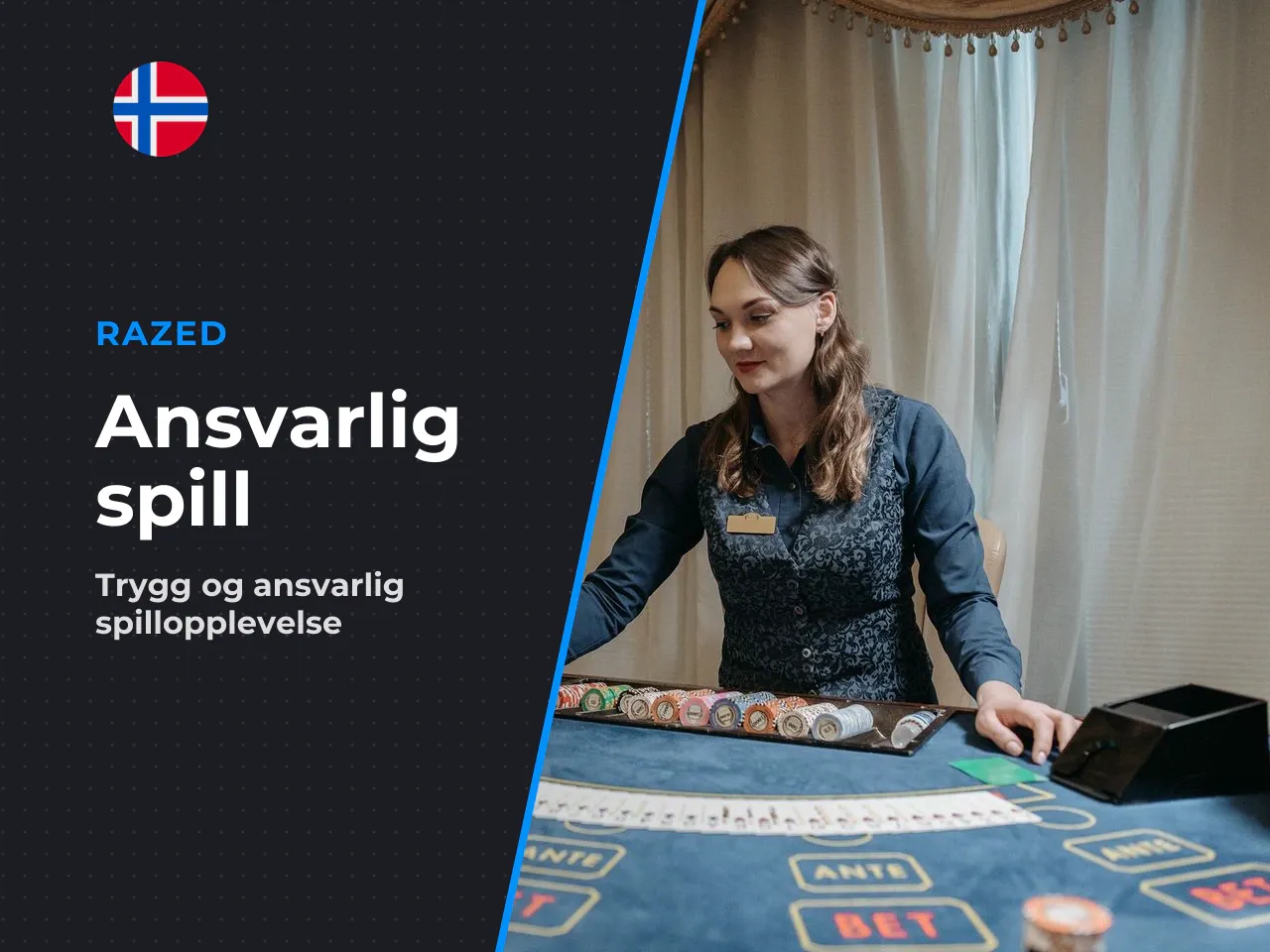Informasjonen i denne seksjonen er av