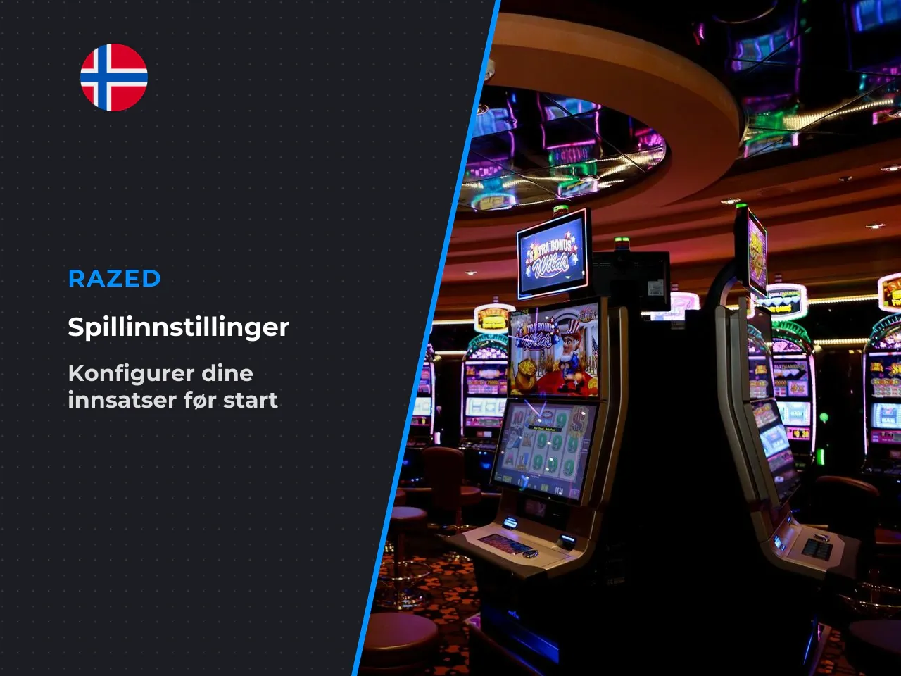Basale spillparametre og innsatsformat. I grunnspillet
