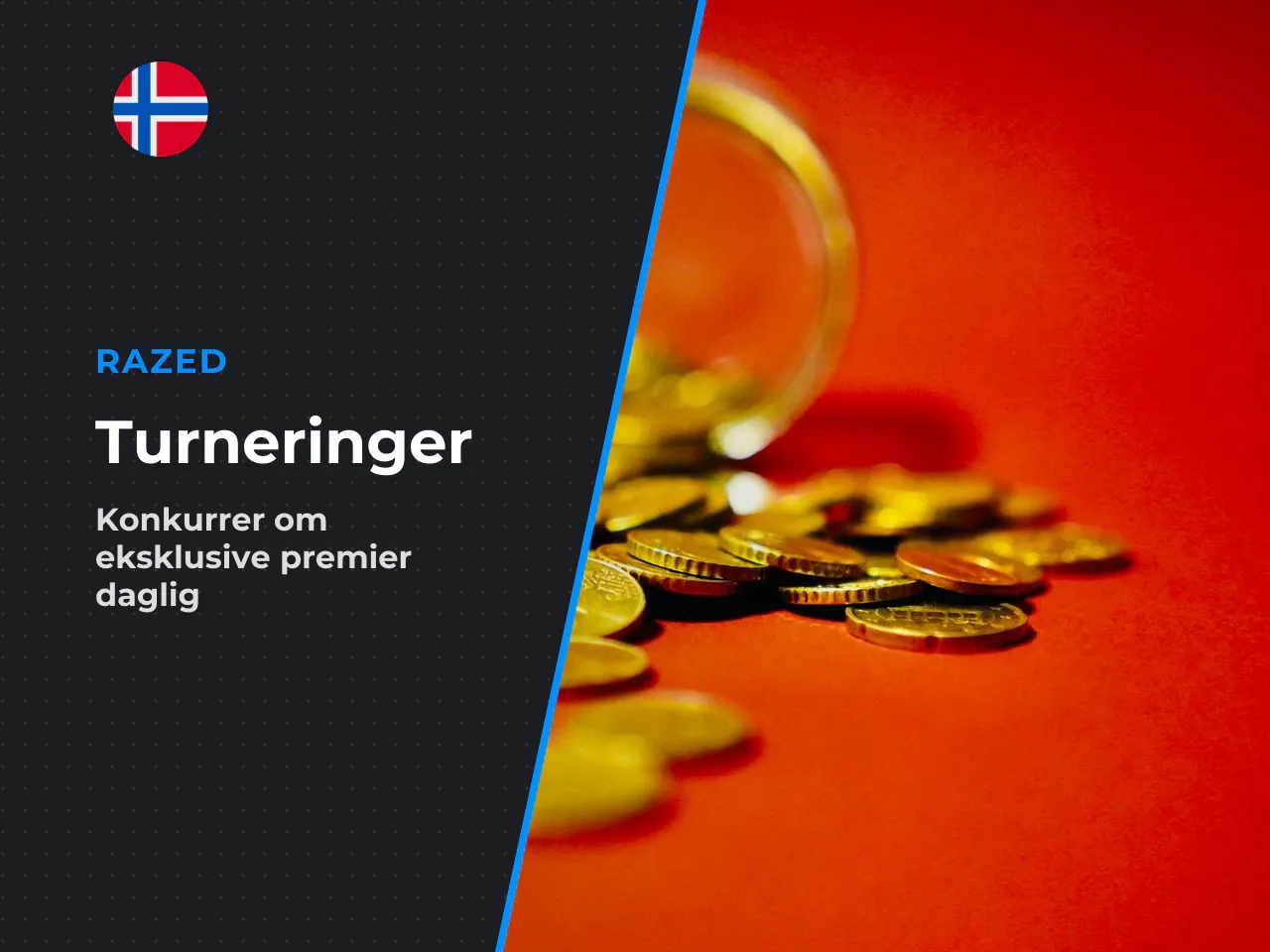 Felles for alle disse formatene er