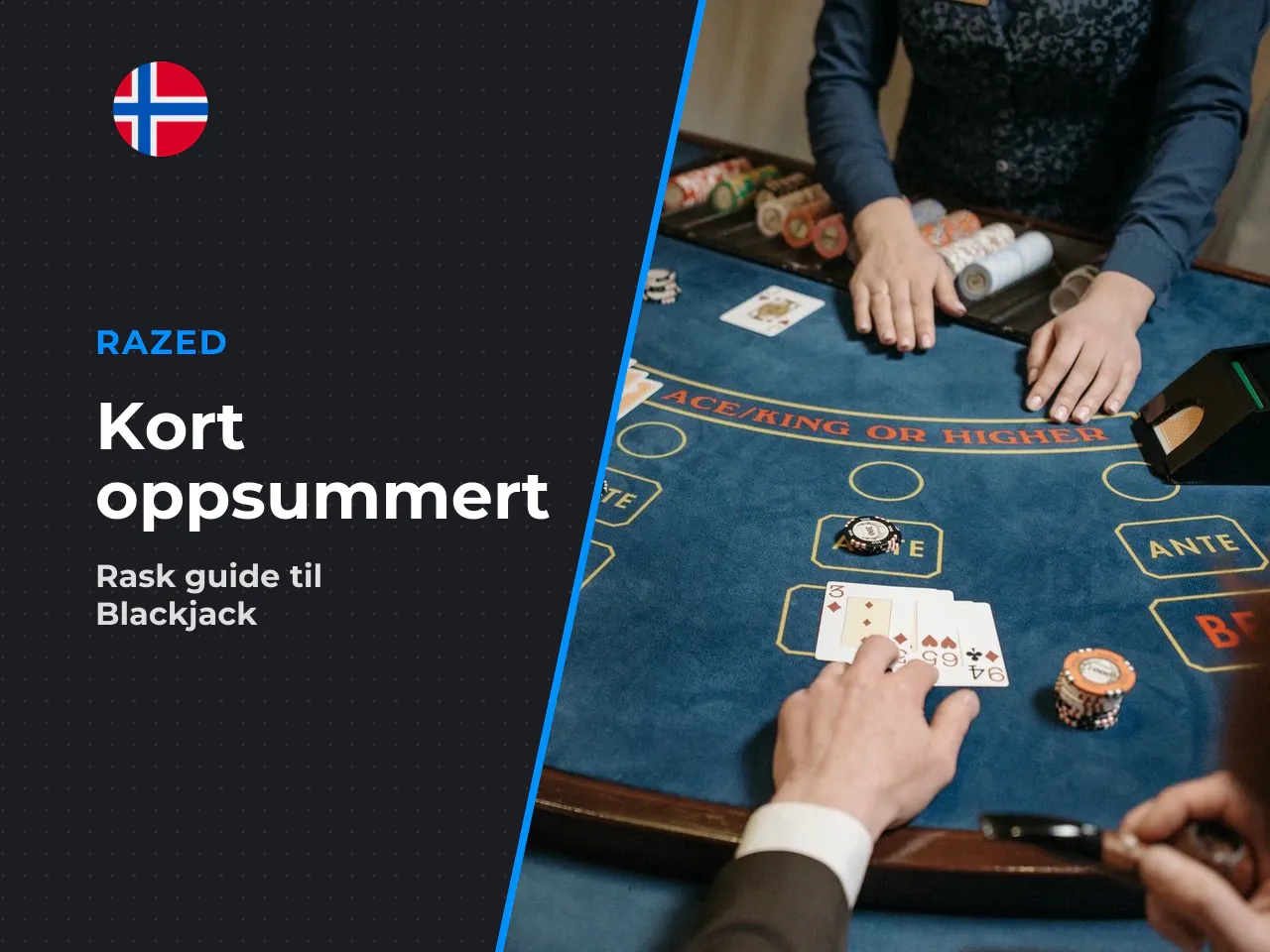 Kort oppsummert
