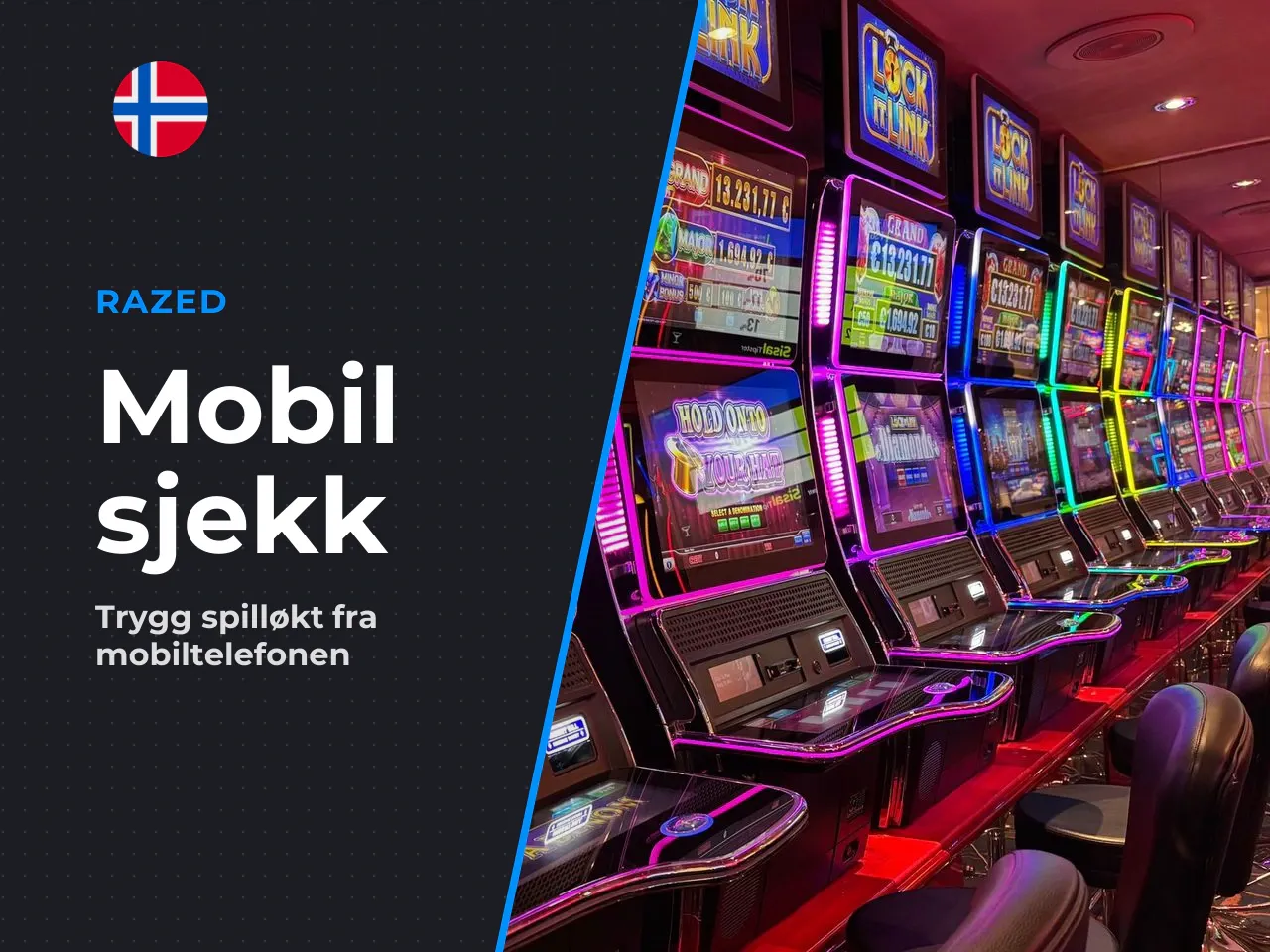 Hva du bør sjekke før du