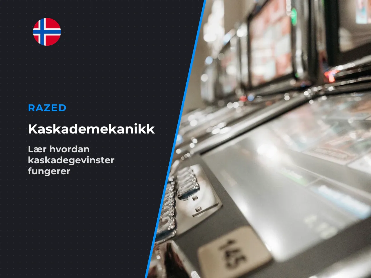 Formålet med denne oversikten er at