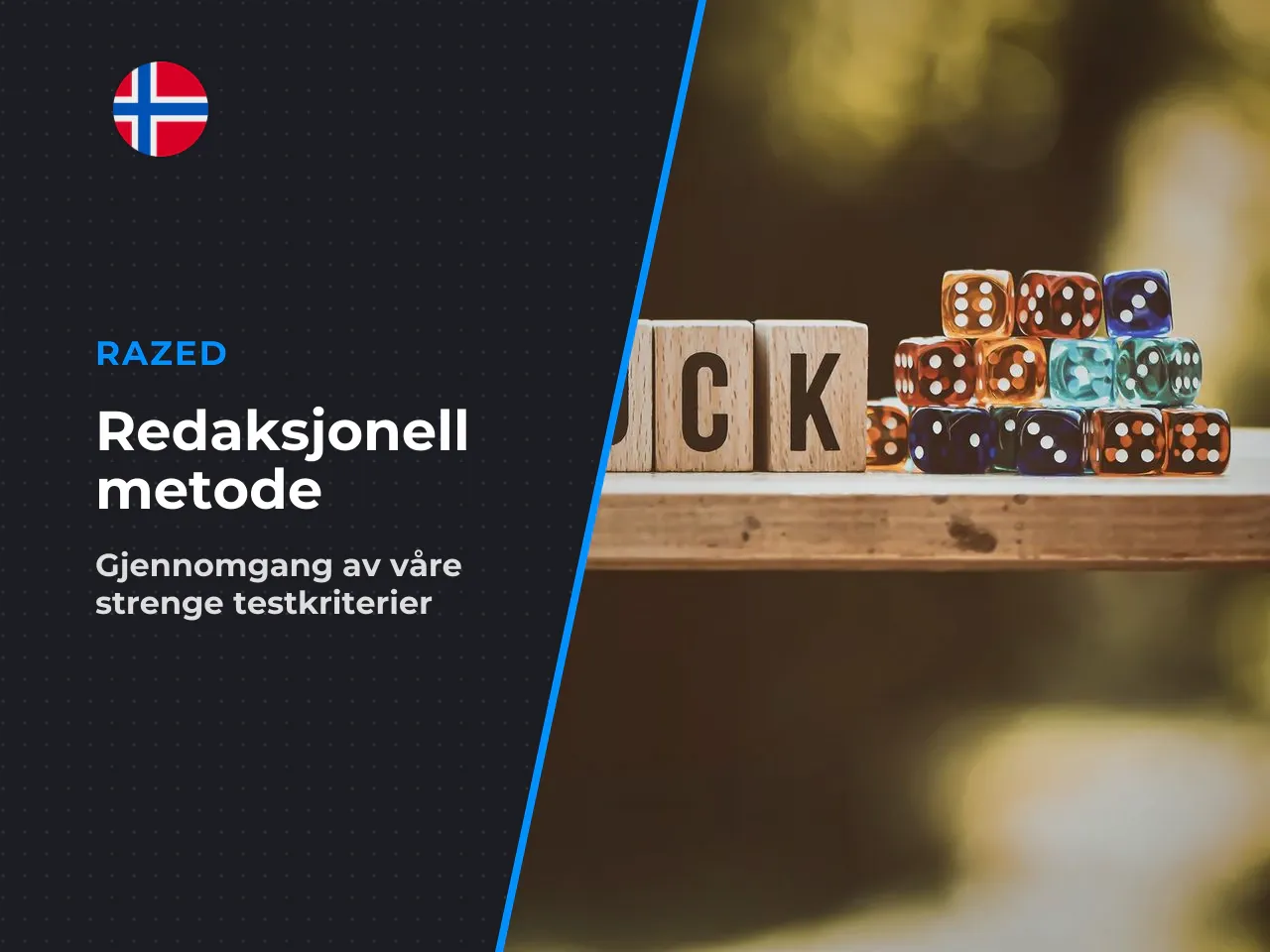Om redaksjonen og metoden. Denne gjennomgangen