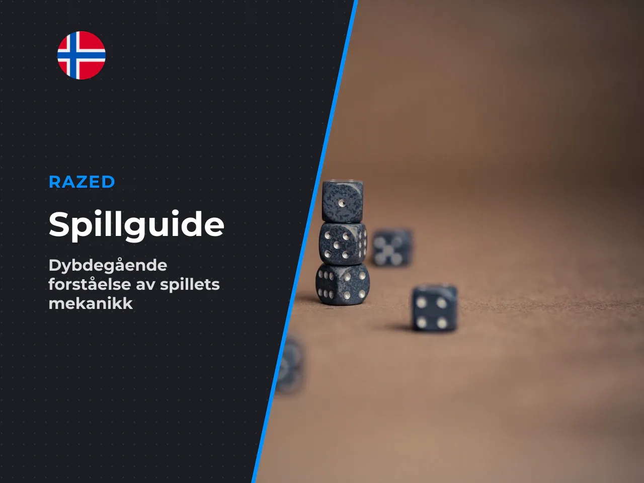 Hvem denne gjennomgangen er for. Teksten