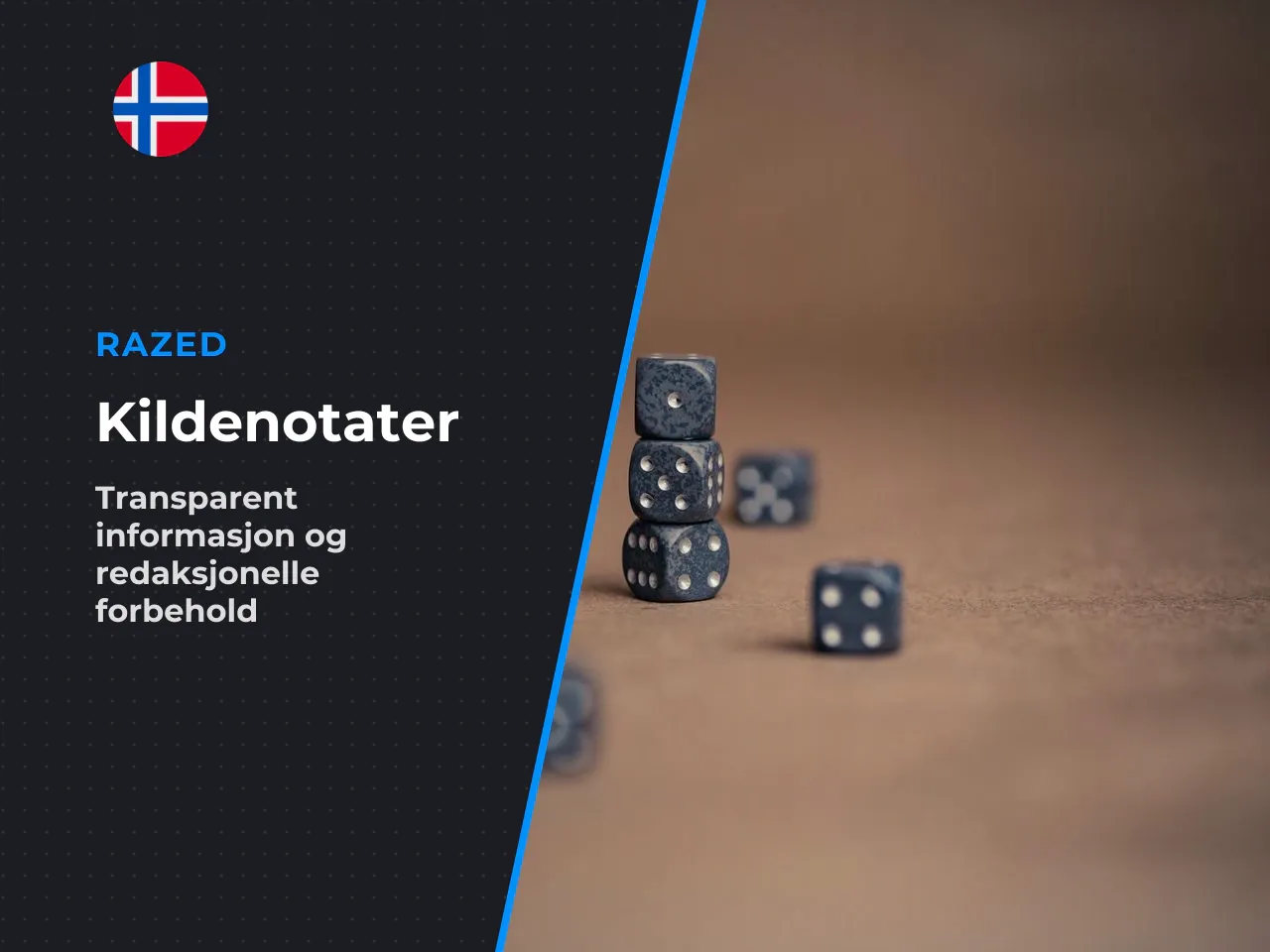 Appendiks A kildenotat og redaksjonelle forbehold