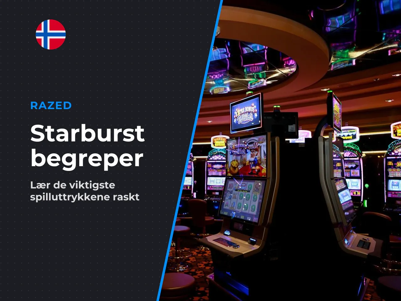 Kort ordliste begreper du møter i